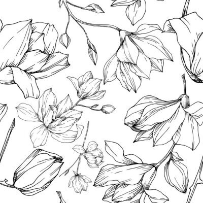 Papier peint à motif  Vector Magnolia floral botanical flowers. Black and white engraved ink art. Seamless background pattern.