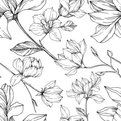 Papier peint à motif  Vector Magnolia floral botanical flowers. Black and white engraved ink art. Seamless background pattern.