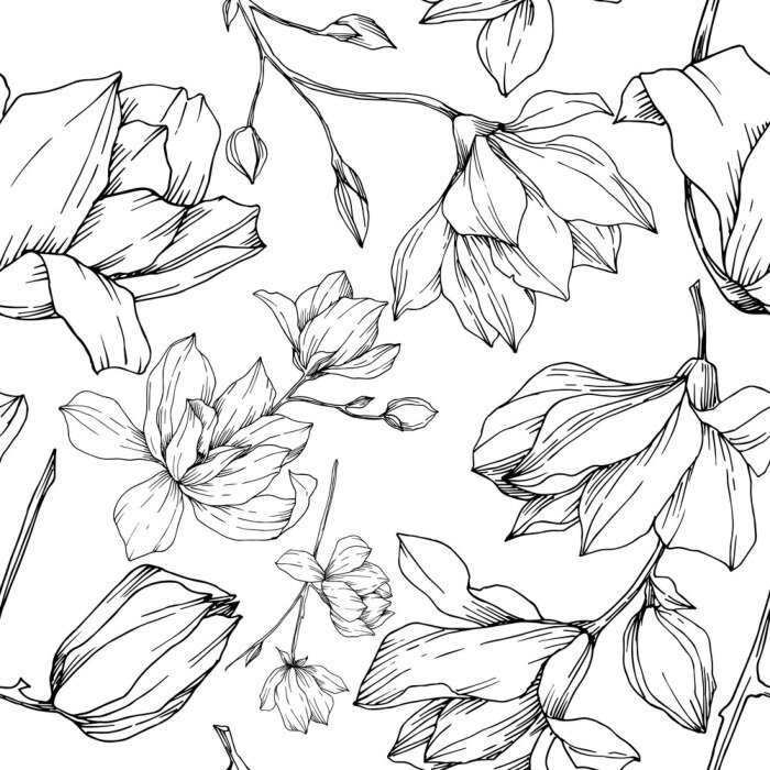 Papier peint à motif  Vector Magnolia floral botanical flowers. Black and white engraved ink art. Seamless background pattern.