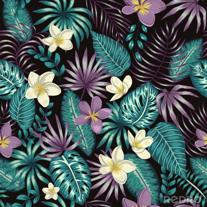 Papier peint à motif  Vector seamless pattern of emerald green tropical leaves with white and purple plumeria flowers on black background. Summer or spring repeat tropical backdrop. Exotic jungle ornament..