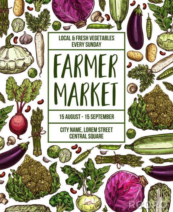 Papier peint à motif  Vector sketch poster for vegetables farm market