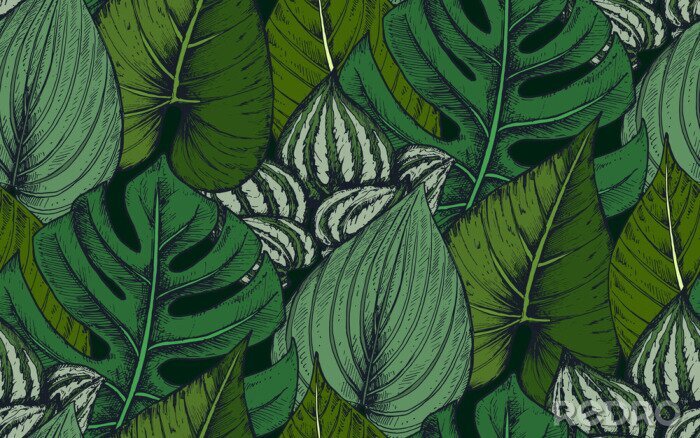 Papier peint à motif  Végétation tropicale dans les tons de vert