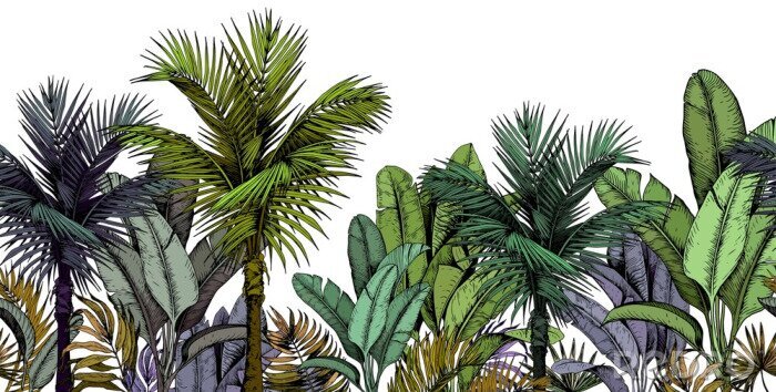 Papier peint à motif  Végétation tropicale illustration multicolore frappante
