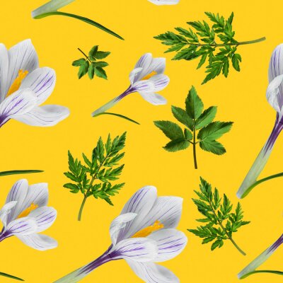 Papier peint à motif  Végétation verte avec crocus blancs