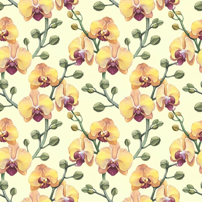 Papier peint à motif  Vendange, seamless, modèle, aquarelle, orchidée, fleurs