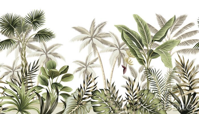 Papier peint à motif  Vieilles feuilles de palmiers