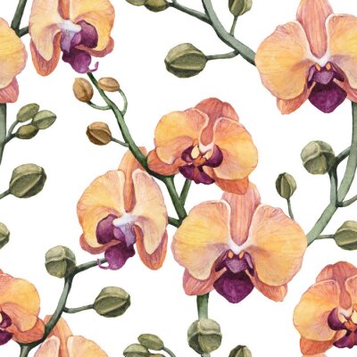 Papier peint à motif  Vintage seamless pattern avec des fleurs d'orchidées aquarelle
