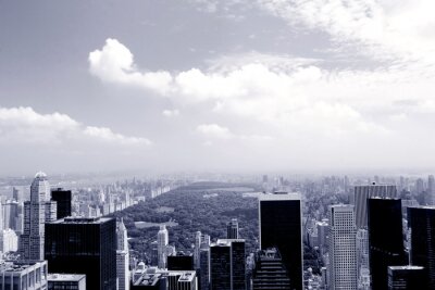 Vue brumeuse sur Central Park