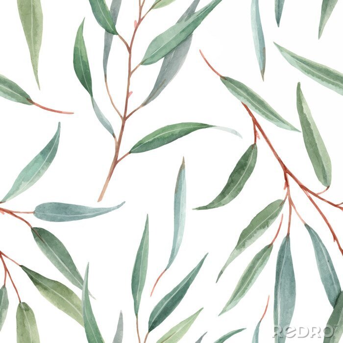 Papier peint à motif  Watercolor australian floral vector pattern