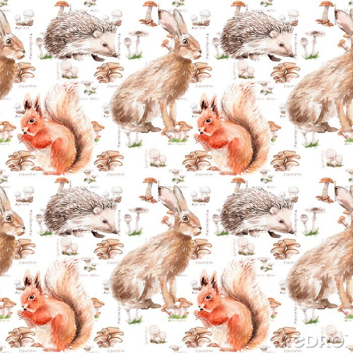 Papier peint à motif  watercolor forest seamless pattern with animals and plants