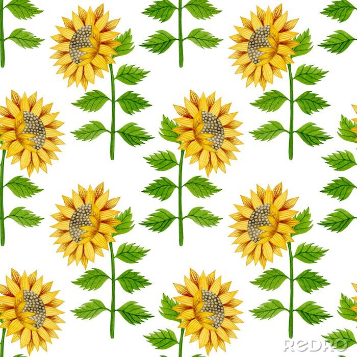 Papier peint à motif  Watercolor seamless pattern of sunflowers and leaves on a white background.
