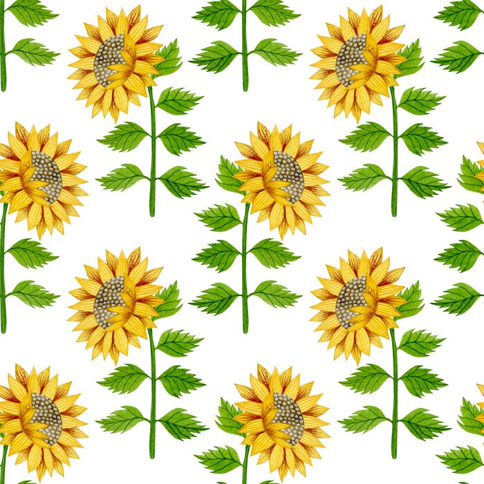 Papier peint à motif  Watercolor seamless pattern of sunflowers and leaves on a white background.