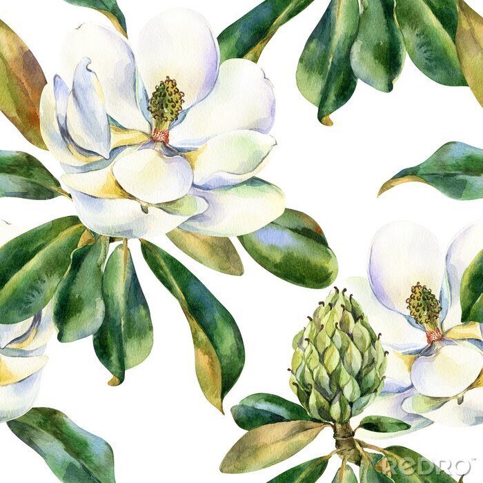 Papier peint à motif  Watercolor seamless pattern with white magnolia, green leaves, botanical painting isolated on a white background, floral painting, stock illustration.
