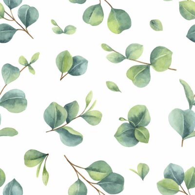 Watercolor vector hand painted seamless pattern with green eucalyptus leaves.