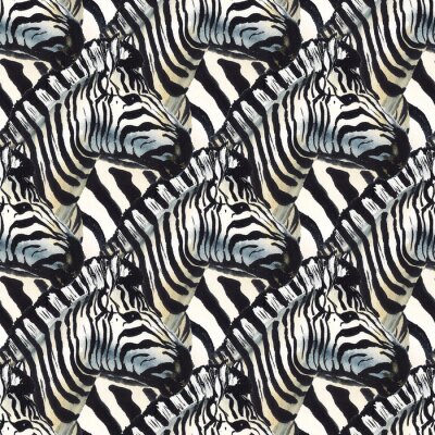 Papier peint à motif  Zèbres regardant de côté