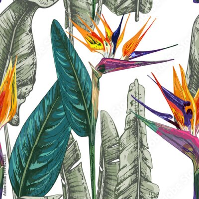 Papier peint  224_Strelitzia_banana leaves_orange strelitzia, flower, green leaf, isolated vector illustration, exotic plant on a white background, tropics, jungle, seamless pattern, 