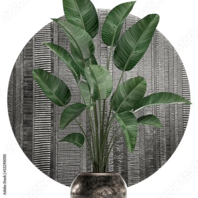 Papier peint  3d illustration of tropical plants Strelitzia in a pot on a white background	