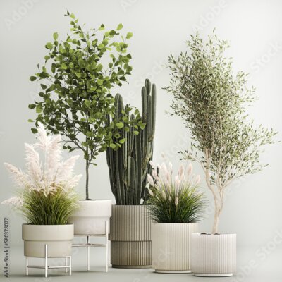 Papier peint  3D illustration Set of potted plants olive palm strelitzia