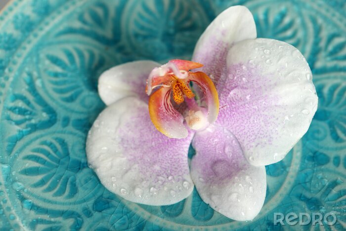 Papier peint  3D orchidée sur un motif bleu