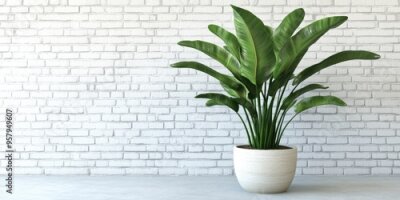 Papier peint  3D rendering of green strelitzia plant leaves in a pot set against a white brick wall backdrop with ample copy space