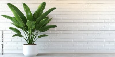 Papier peint  3D rendering of green strelitzia plant leaves in a pot set against a white brick wall backdrop with ample copy space