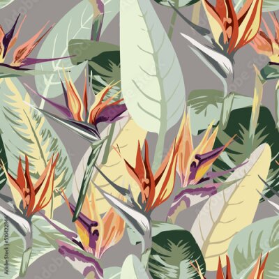 Papier peint  734_Strelitzia strelitzia, tropical exotic plant seamless pattern, package design, paper, wallpaper, leaves, flowers