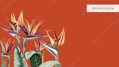 Papier peint  747_Strelitzia Seamless wallpaper, abstract pattern of exotic tropical plants, flowers, strelitzia leaves, textile composition, hand drawn style print, vector illustration