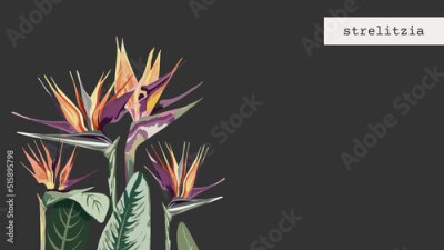 Papier peint  749_Strelitzia Seamless wallpaper, abstract pattern of exotic tropical plants, flowers, strelitzia leaves, textile composition, hand drawn style print, vector illustration