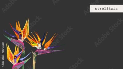 Papier peint  750_Strelitzia Seamless wallpaper, abstract pattern of exotic tropical plants, flowers, strelitzia leaves, textile composition, hand drawn style print, vector illustration