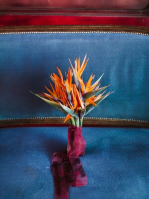 Papier peint  A bouquet of orange strelitzia wrapped in a red ribbon stands on a blue armchair.
