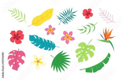 Papier peint  A collection of exotic bright and fun tropical leaves and flowers: banana palm, plumeria, hibiscus, strelitzia, monstera. Vector summer elements isolated on a white background.
