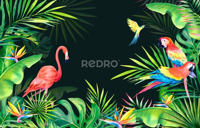 Papier peint  A frame made of palm leaves, banana branches, strelitzia, flamingos and macaws.Tropical plants and birds. Watercolor illustration. Carnival in Brazil. Rio de Janeiro. Summer mood. . Banner.