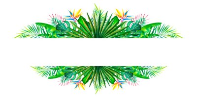 Papier peint  A frame made of tropical plants. Banner. Monstera, palm branch, strelitzia, banana leaves. Watercolor illustration.