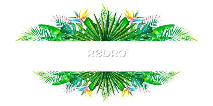 Papier peint  A frame made of tropical plants. Banner. Monstera, palm branch, strelitzia, banana leaves. Watercolor illustration.