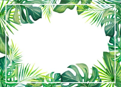 Papier peint  A frame made of tropical plants. Monstera, palm branch, strelitzia, banana leaves. Brazilian carnival. Watercolor illustration.