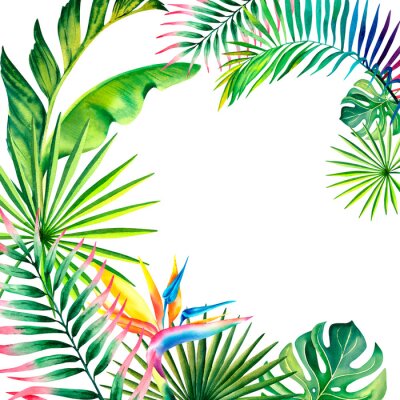 Papier peint  A frame made of tropical plants. Monstera, palm branch, strelitzia, banana leaves. Watercolor illustration.