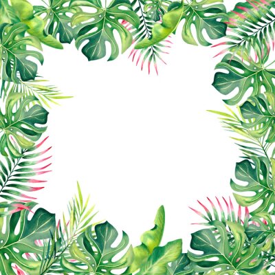 Papier peint  A frame made of tropical plants. Monstera, palm branch, strelitzia, banana leaves. Watercolor illustration.