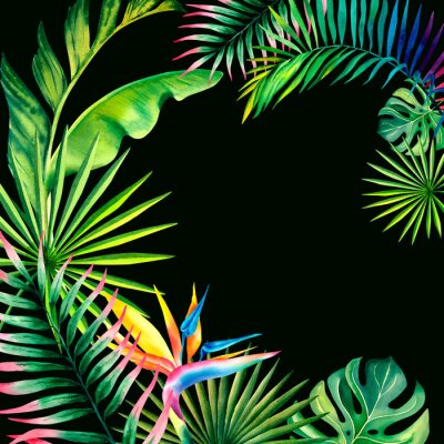 Papier peint  A frame made of tropical plants. Monstera, palm branch, strelitzia, banana leaves. Watercolor illustration.