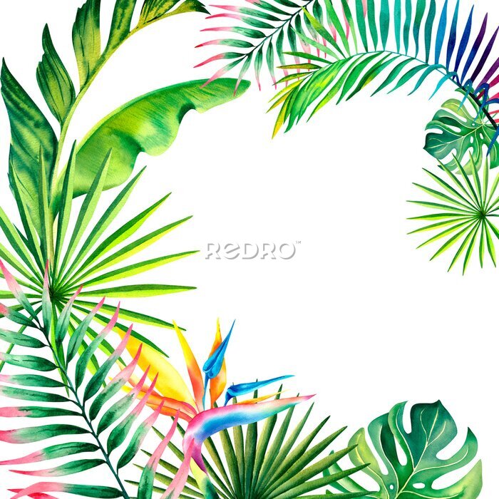 Papier peint  A frame made of tropical plants. Monstera, palm branch, strelitzia, banana leaves. Watercolor illustration.