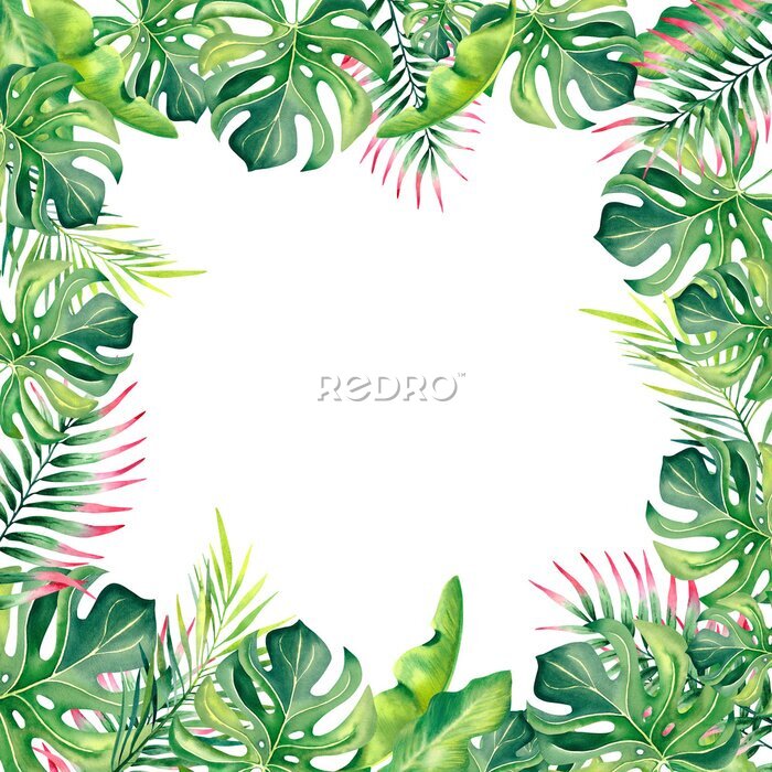 Papier peint  A frame made of tropical plants. Monstera, palm branch, strelitzia, banana leaves. Watercolor illustration.