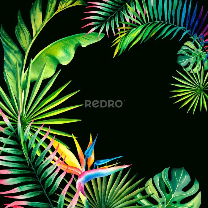 Papier peint  A frame made of tropical plants. Monstera, palm branch, strelitzia, banana leaves. Watercolor illustration.
