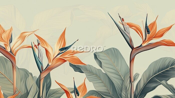 Papier peint  a horizontal image of Strelitzia, Bird-of-Paradise as background for mock-up, and a product presentation with space for copy in a Commercially-themed image as a JPG horizontal format. Generative AI