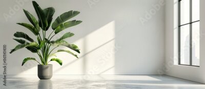 Papier peint  A large houseplant Strelitzia stands on the floor in the lobby of a luxury interior, vertical. Copy space image. Place for adding text and design