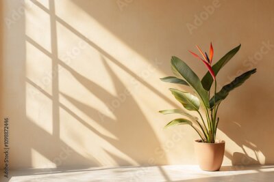 Papier peint  A minimal living room featuring a majestic strelitzia nicolai plant casting gentle shadows on a warm beige wall.