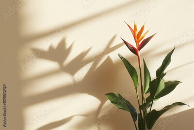 Papier peint  A minimal living room featuring a majestic strelitzia nicolai plant casting gentle shadows on a warm beige wall.