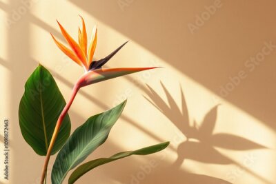 Papier peint  A minimal living room featuring a majestic strelitzia nicolai plant casting gentle shadows on a warm beige wall.