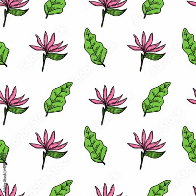 Papier peint  A seamless pattern of a tropical strelitzia flower and leaves. Hand-drawn elements in a doodle style sketch, bright flower and greenery. Tropics. Strelitzia. Isolated vector illustration.