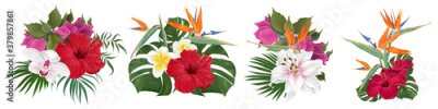 Papier peint  A set of bouquets of tropical flowers. Strelitzia, frangipani, hibiscus, lilies, orchids, palm leaves and monstera. Flowers on a white background.