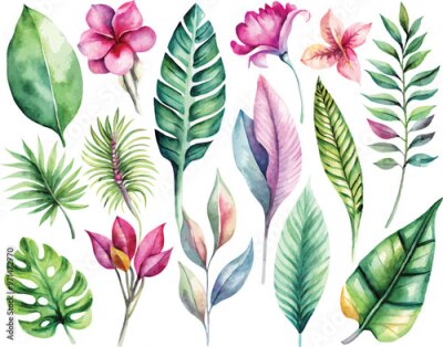 Papier peint  A set of exotic tropical leaves and flowers of plumeria hibiscus strelitzia