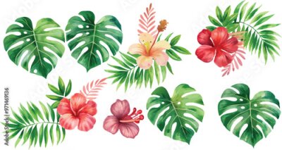 Papier peint  A set of exotic tropical leaves and flowers of plumeria hibiscus strelitzia